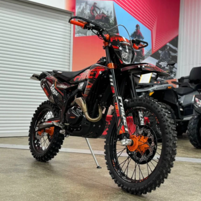Кроссовый мотоцикл FAIDET PR300 MAX WP в Прокопьевске