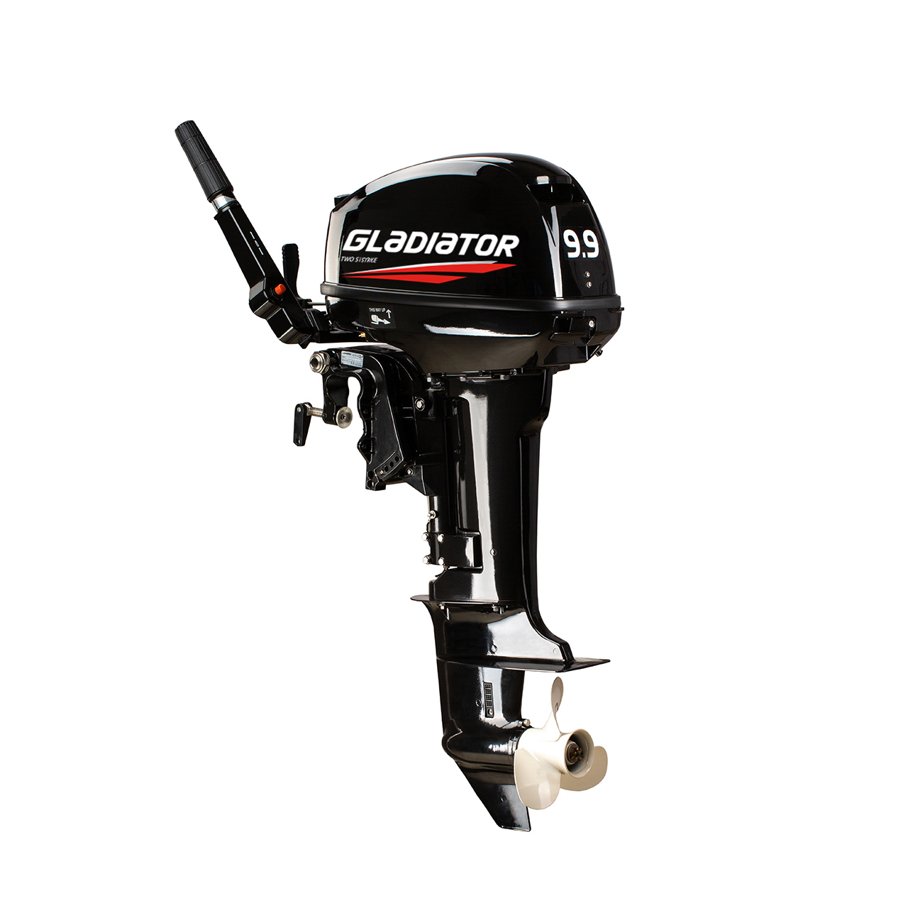 ЛОДОЧНЫЙ МОТОР GLADIATOR G9.9FHS в Прокопьевске