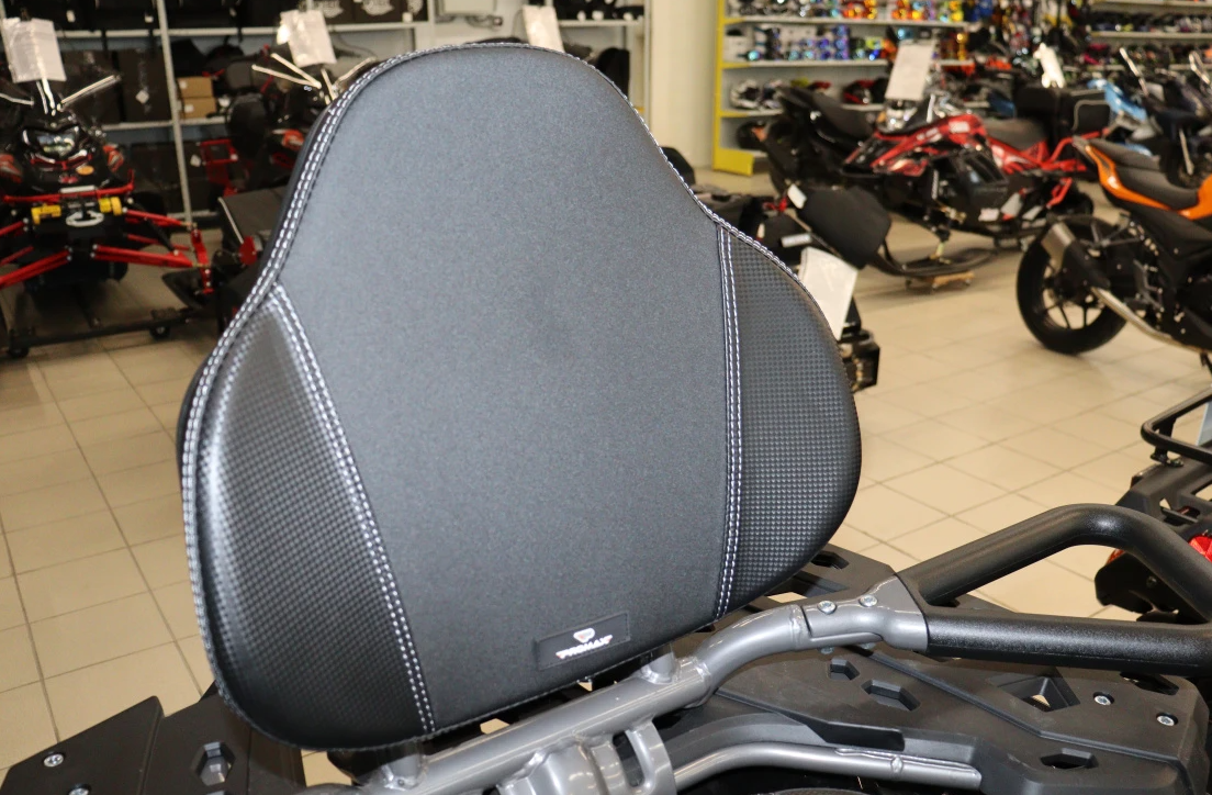 Квадроцикл PROMAX RENEGADE 300 LONG WINCH PRO (2025) в Прокопьевске