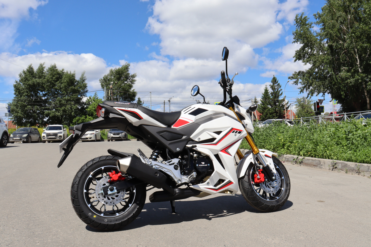 Мотоцикл PROMAX STRYKER 200(49) 2.0 в Прокопьевске