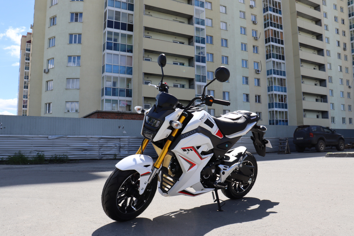Мотоцикл PROMAX STRYKER 200(49) 2.0 в Прокопьевске