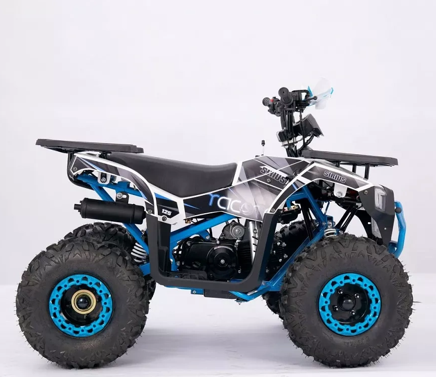 Квадроцикл YACOTA SIRIUS 110 в Прокопьевске