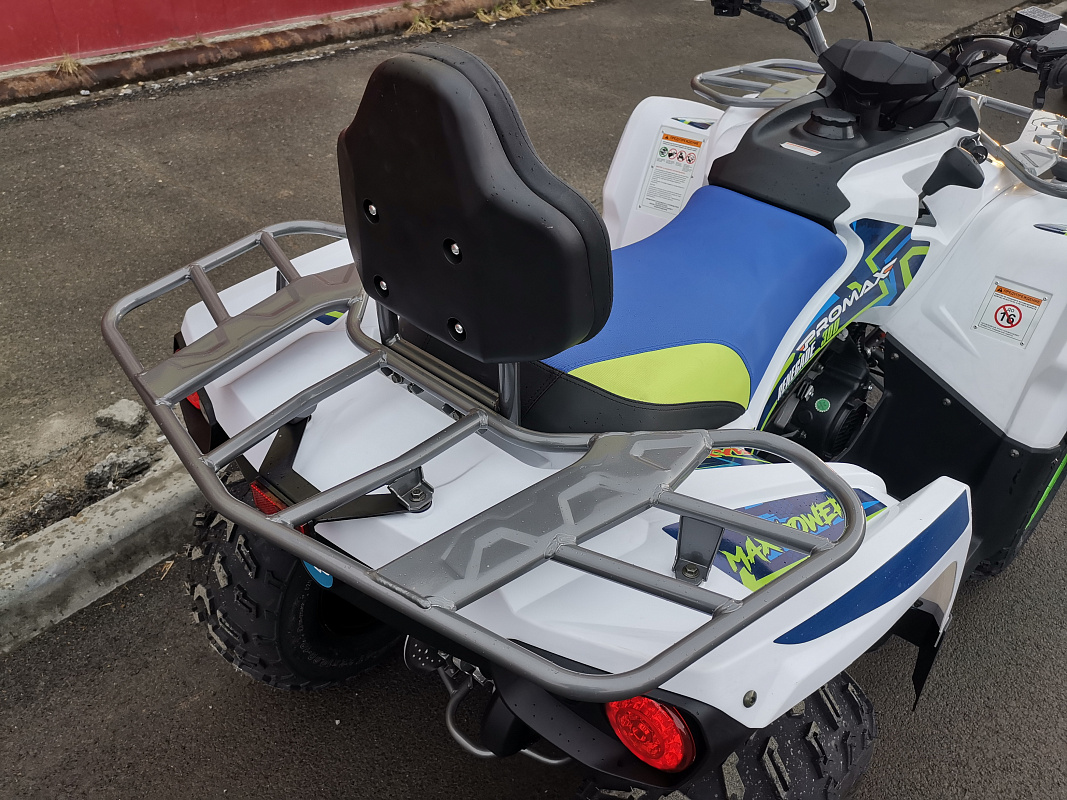 Квадроцикл PROMAX RENEGADE 280 LUX (2025) в Прокопьевске