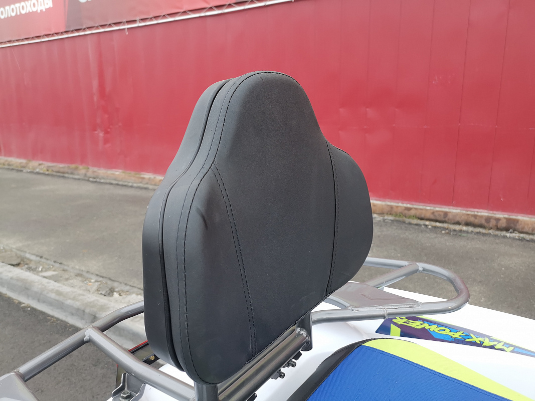 Квадроцикл PROMAX RENEGADE 280 LUX (2025) в Прокопьевске