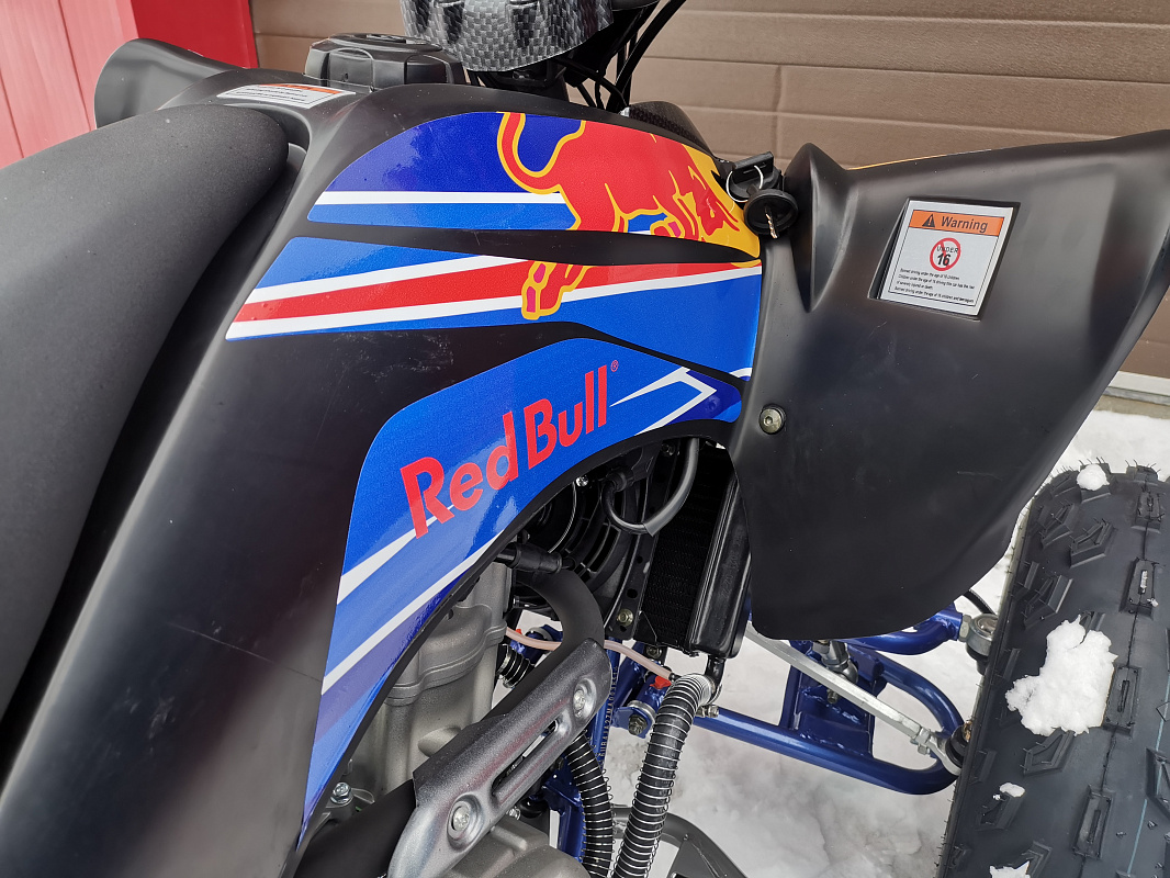 Квадроцикл PROMAX RAPTOR 300 NEW RedBull в Прокопьевске