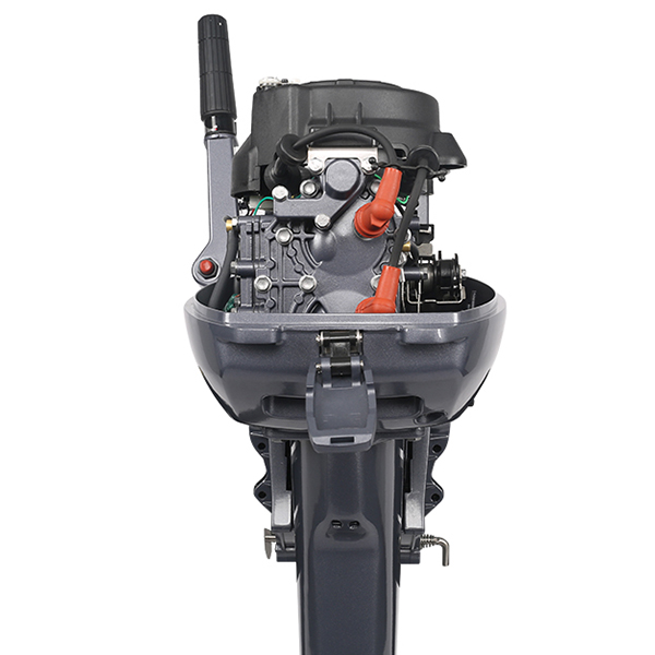 ЛОДОЧНЫЙ МОТОР ALLFA CG Т9,9 в Прокопьевске