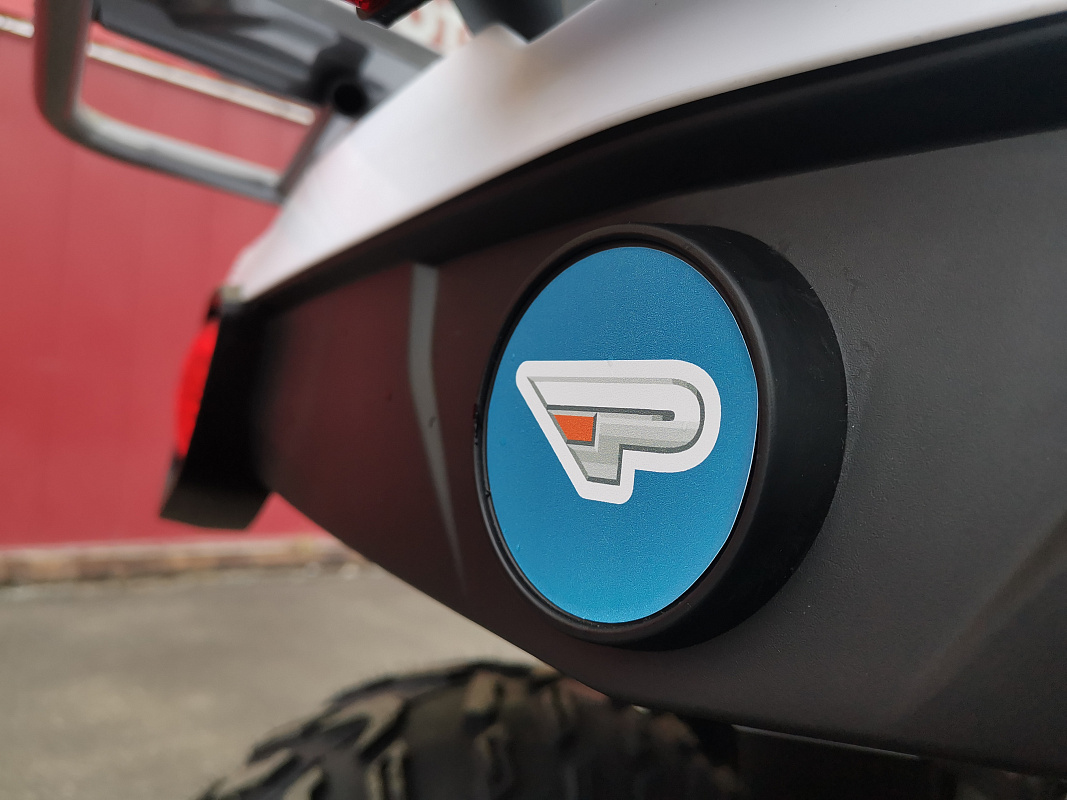 Квадроцикл PROMAX RENEGADE 280 LUX (2025) в Прокопьевске