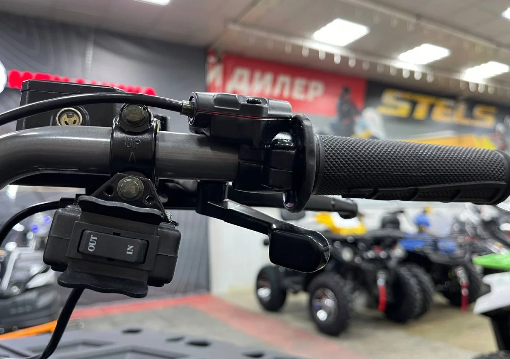 Квадроцикл PROMAX RENEGADE 300 LONG WINCH PRO (2025) в Прокопьевске