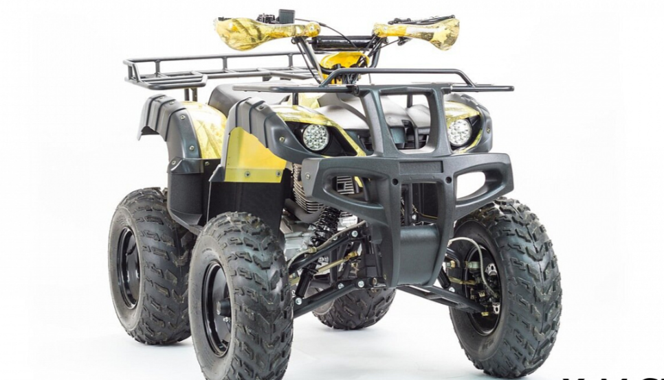 Квадроцикл MOTOLAND (МОТОЛЕНД) 250 ADVENTURE в Прокопьевске