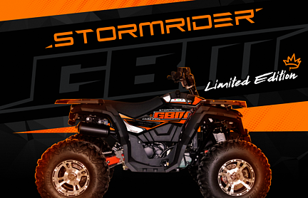 Квадроцикл GBM STORMRIDER 320 NEW LUX в Прокопьевске