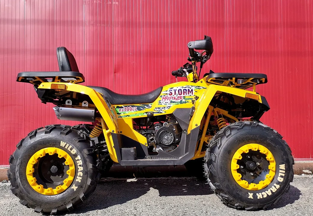 Квадроцикл PROMAX STORM 280 LUX в Прокопьевске