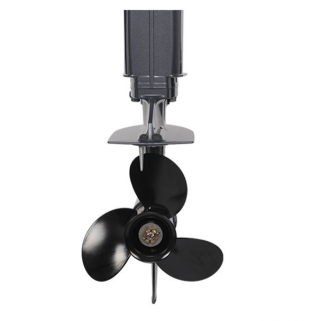 Лодочный мотор ALLFA CG Т40FW S в Прокопьевске