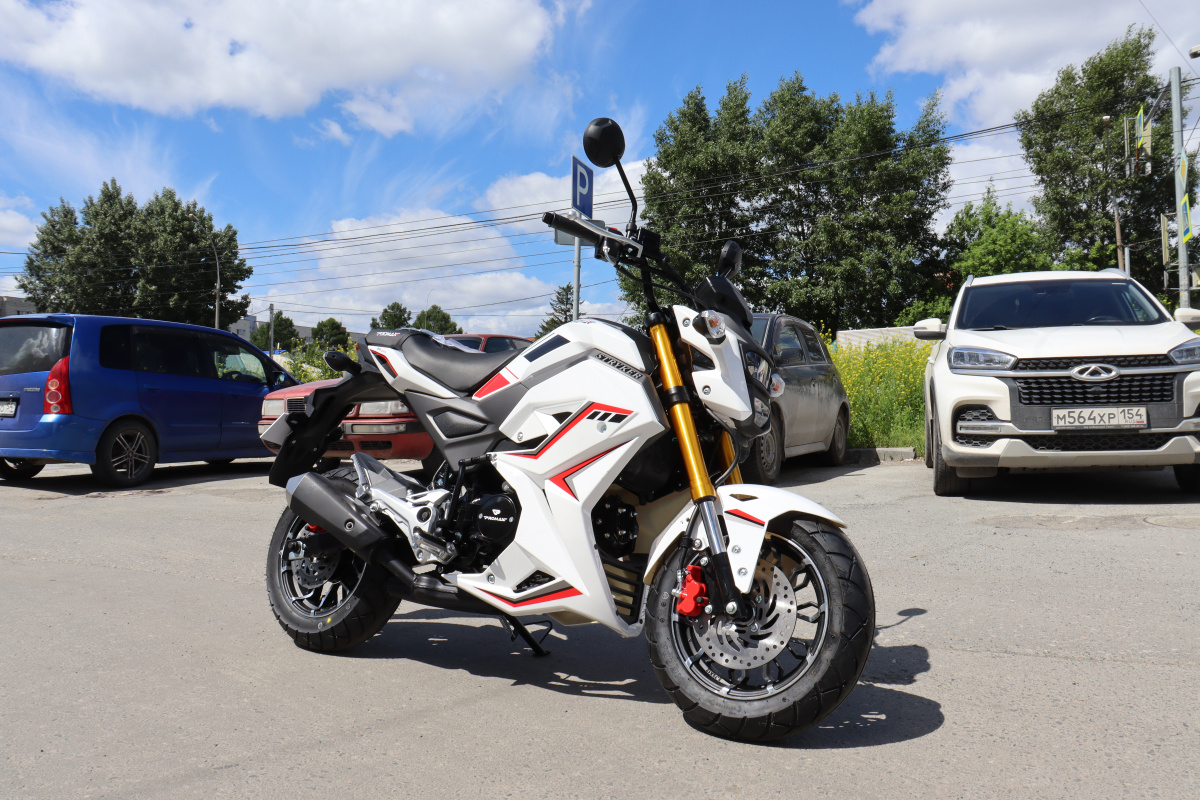 Мотоцикл PROMAX STRYKER 200(49) 2.0 в Прокопьевске