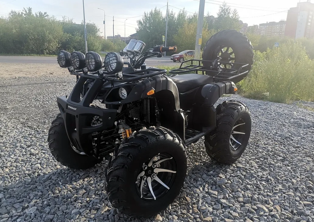 Квадроцикл PROMAX LEO 300 Max (кардан) в Прокопьевске