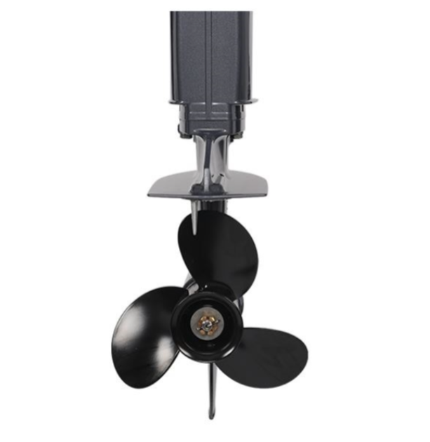 Лодочный мотор ALLFA CG Т40FWT S в Прокопьевске