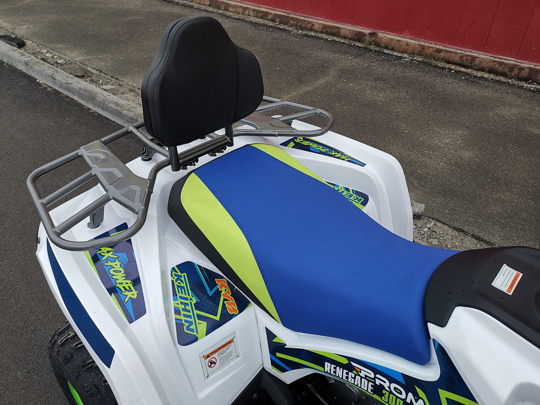 Квадроцикл PROMAX RENEGADE 280 LUX (2025) в Прокопьевске
