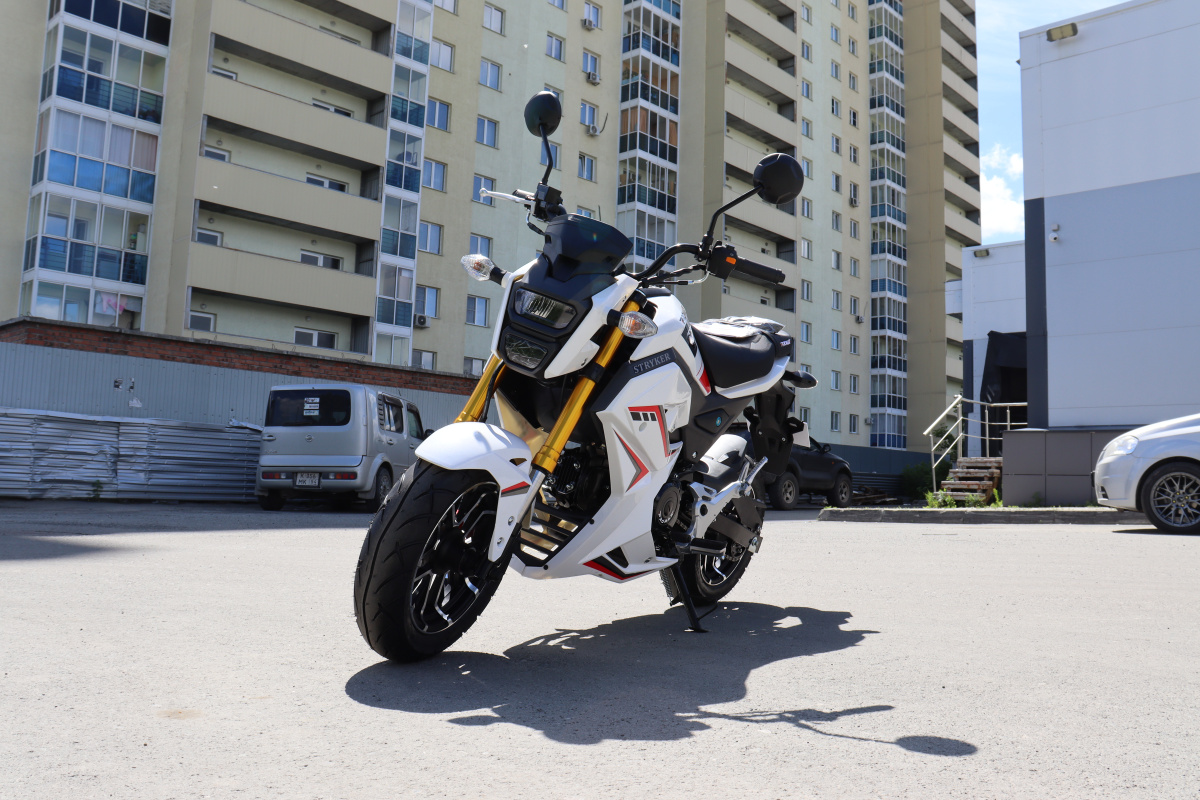 Мотоцикл PROMAX STRYKER 200(49) 2.0 в Прокопьевске