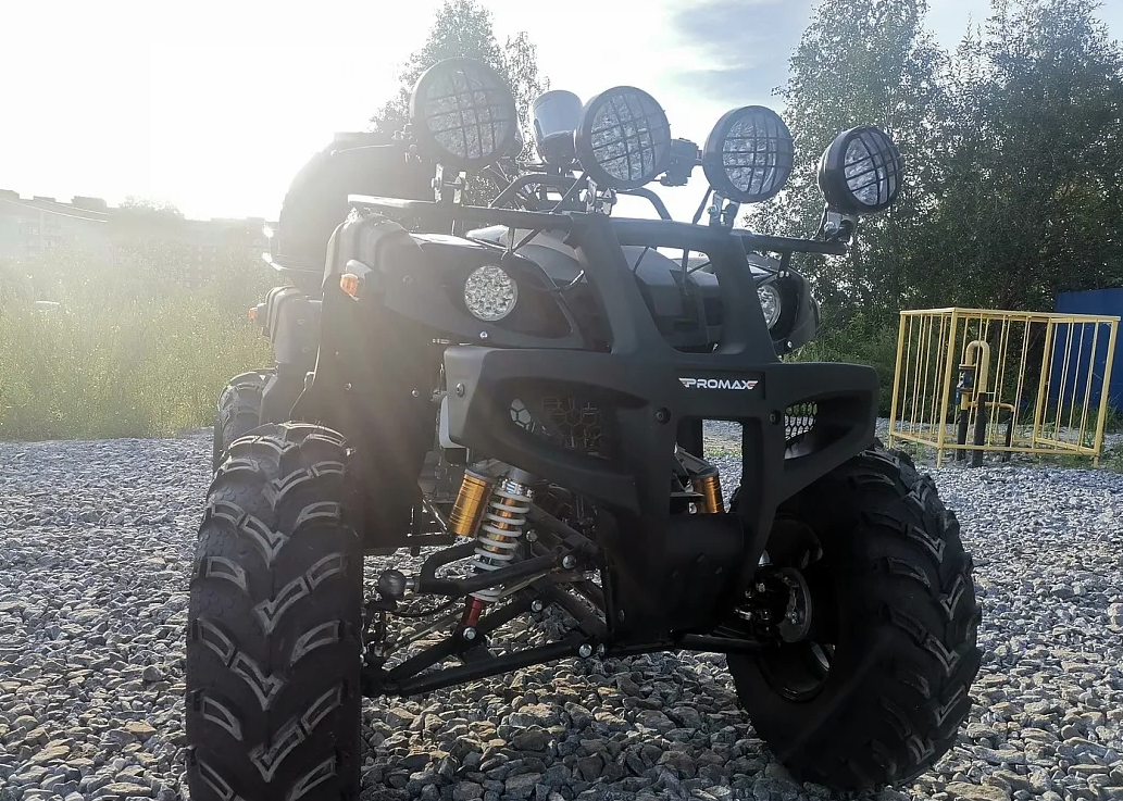 Квадроцикл PROMAX LEO 300 Max (кардан) в Прокопьевске