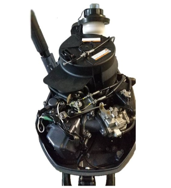 Лодочный мотор ALLFA CG F6 в Прокопьевске