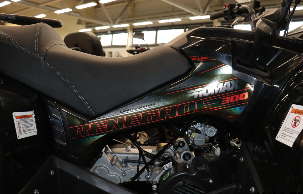 Квадроцикл PROMAX RENEGADE 300 LONG WINCH PRO (2025) в Прокопьевске
