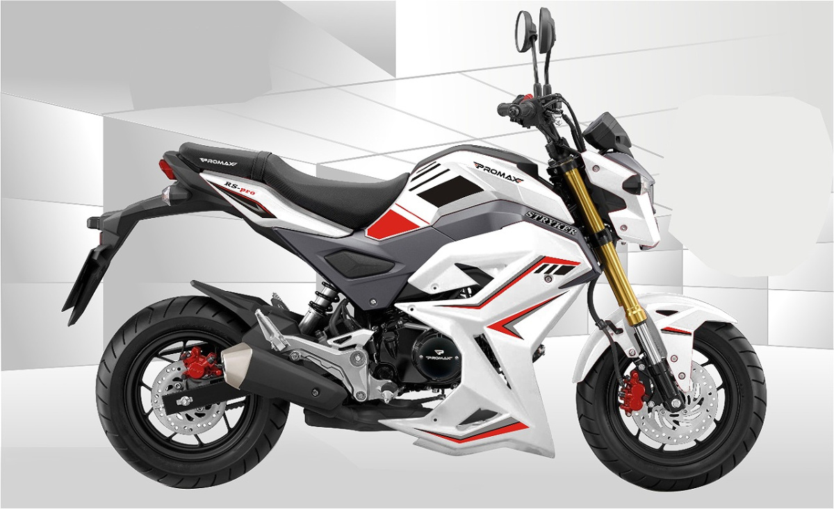 Мотоцикл PROMAX STRYKER 200(49) 2.0 в Прокопьевске