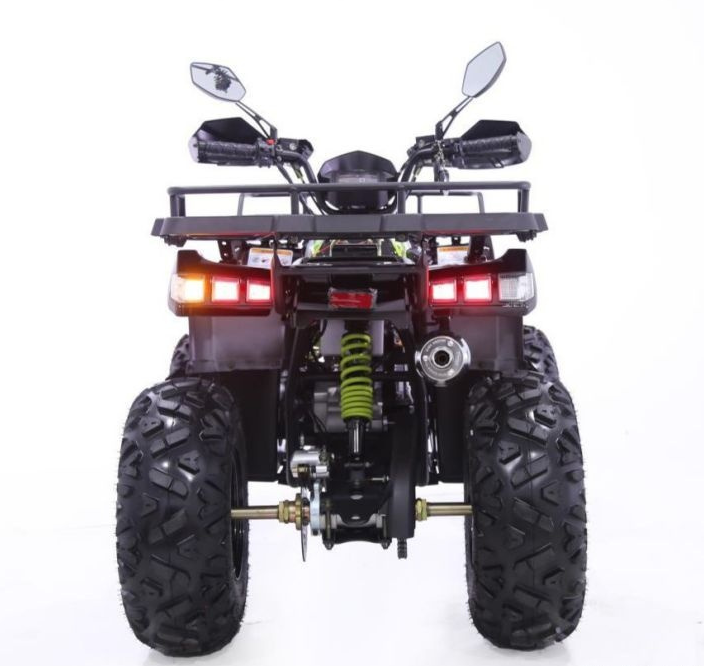 Квадроцикл YACOTA WARRIOR 200 PRO в Прокопьевске