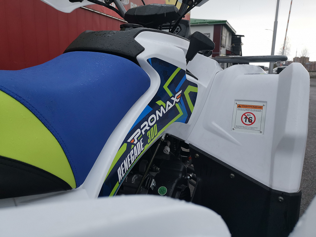 Квадроцикл PROMAX RENEGADE 280 LUX (2025) в Прокопьевске