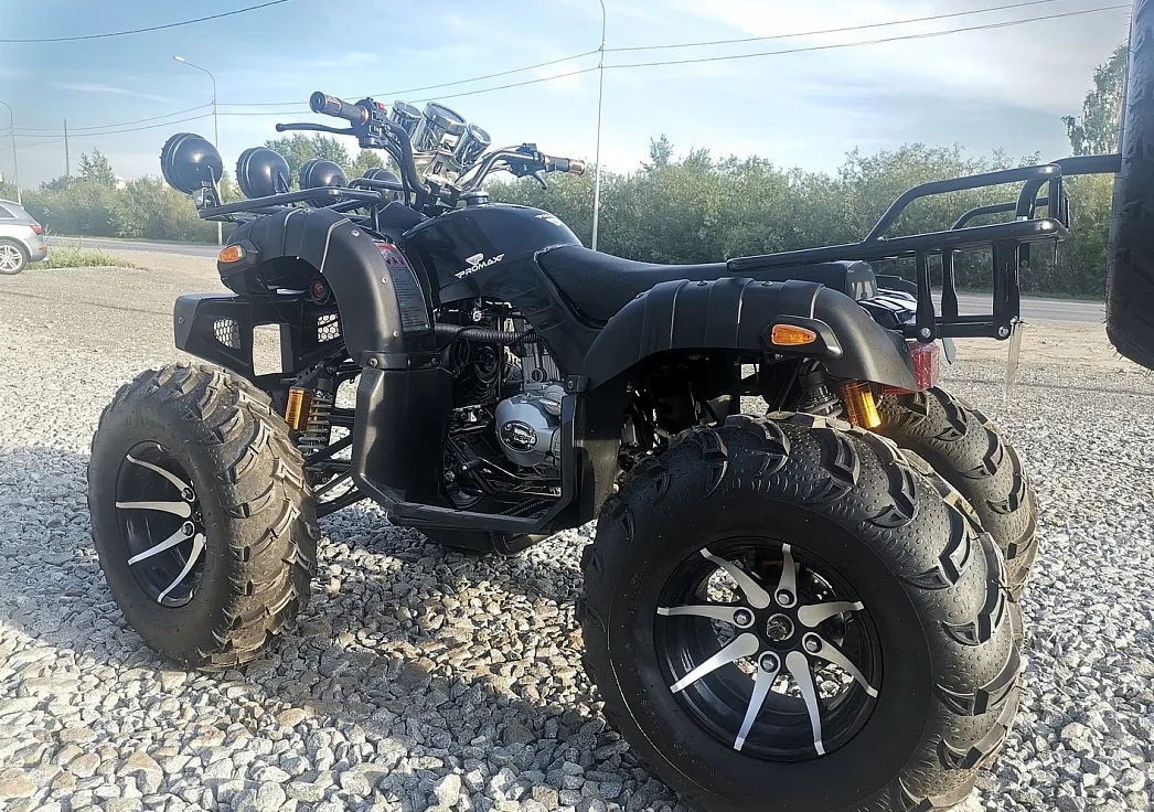 Квадроцикл PROMAX LEO 300 Max (кардан) в Прокопьевске