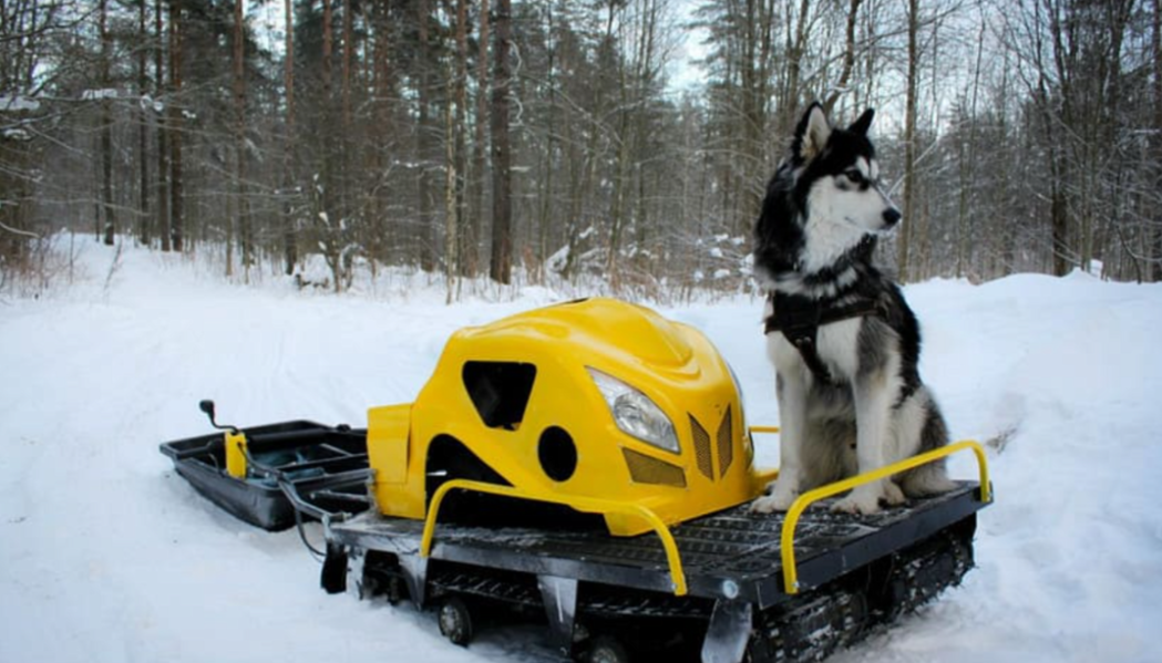 Мотобуксировщик LEBEDEV MOTORS ВОЛКОДАВ POWER V13 в Прокопьевске