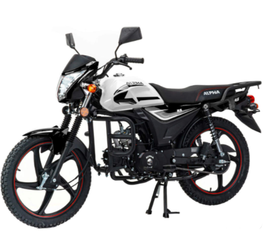 Мопед MOTOLAND (МОТОЛЕНД) Альфа RS 11 (LM48-B) в Прокопьевске