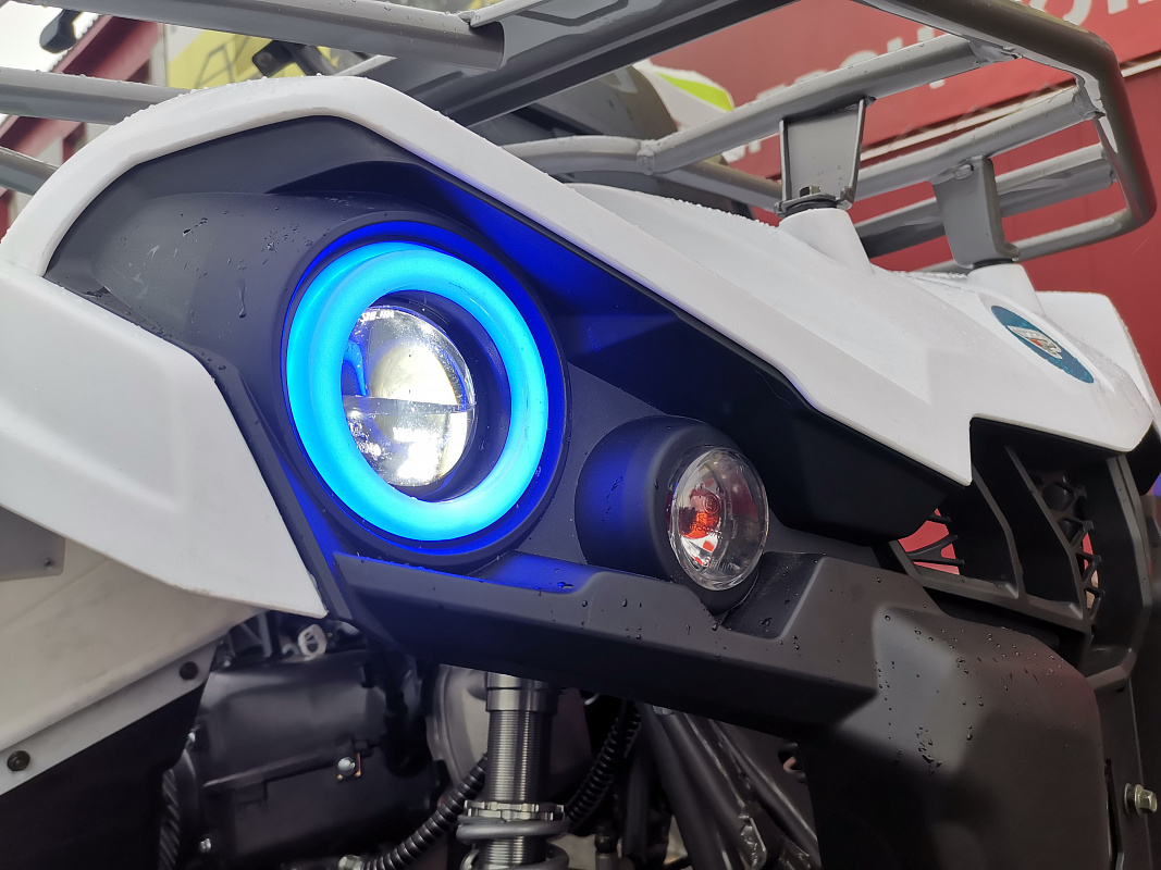 Квадроцикл PROMAX RENEGADE 280 LUX (2025) в Прокопьевске