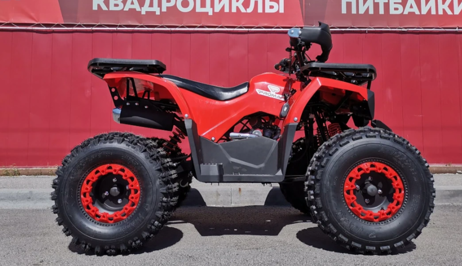 Квадроцикл PROMAX WILD 175 BASIC в Прокопьевске