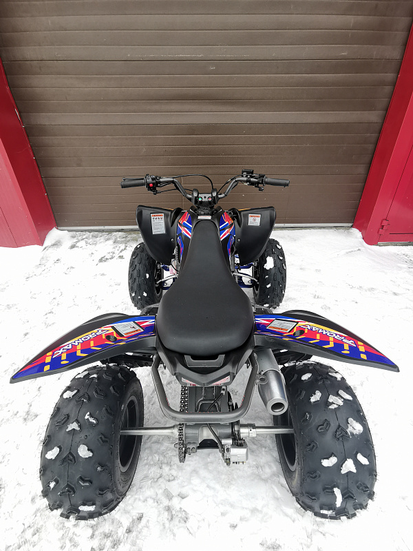 Квадроцикл PROMAX RAPTOR 300 NEW RedBull в Прокопьевске