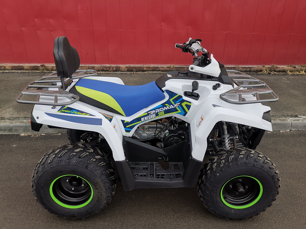Квадроцикл PROMAX RENEGADE 280 LUX (2025) в Прокопьевске