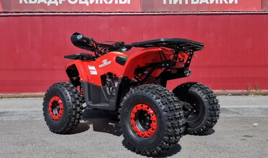 Квадроцикл PROMAX WILD 175 BASIC в Прокопьевске