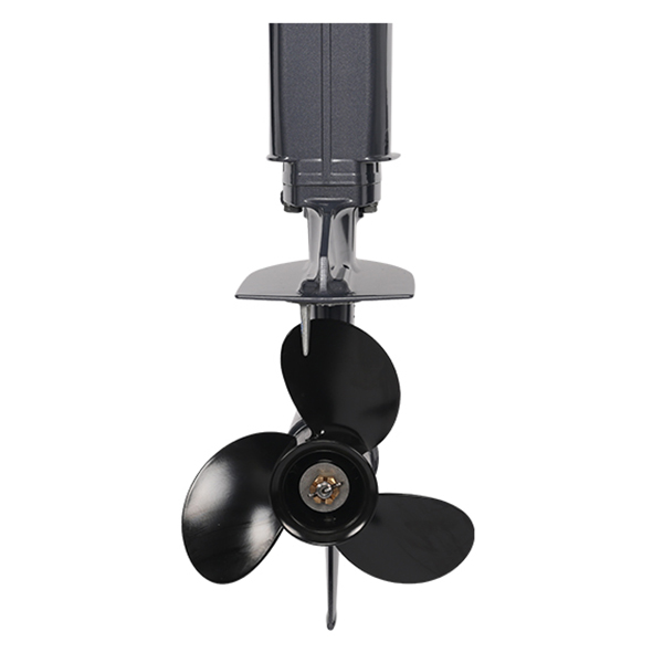 ЛОДОЧНЫЙ МОТОР ALLFA CG T30 FW S в Прокопьевске