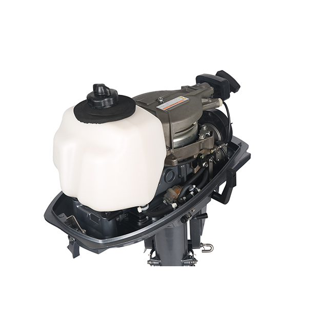 ЛОДОЧНЫЙ МОТОР ALLFA CG T5 в Прокопьевске