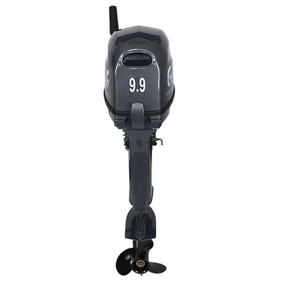 Лодочный мотор ALLFA CG Т9.9(20)MAX в Прокопьевске