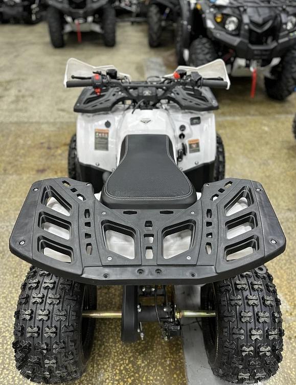 Квадроцикл PROMAX WILD 2.0 190 в Прокопьевске