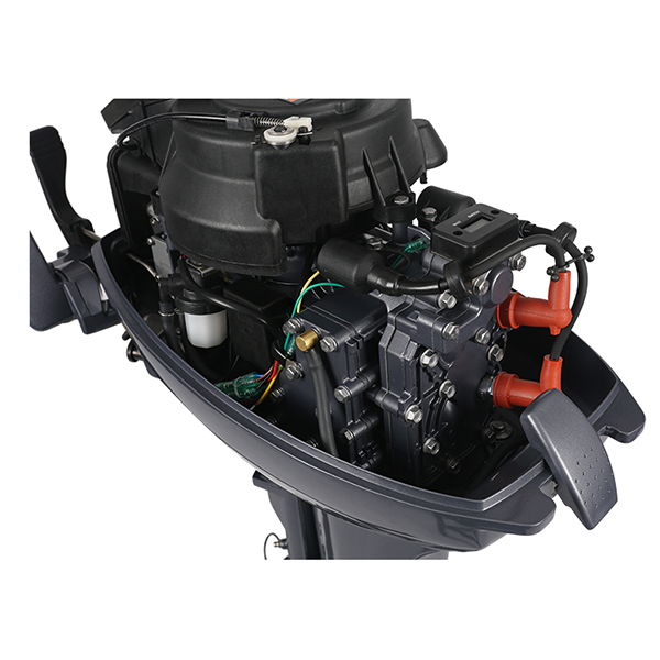 ЛОДОЧНЫЙ МОТОР ALLFA CG Т9,9 в Прокопьевске