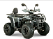 Квадроцикл YACOTA DRAGON LUX LD 150 PRO-SPORT в Прокопьевске
