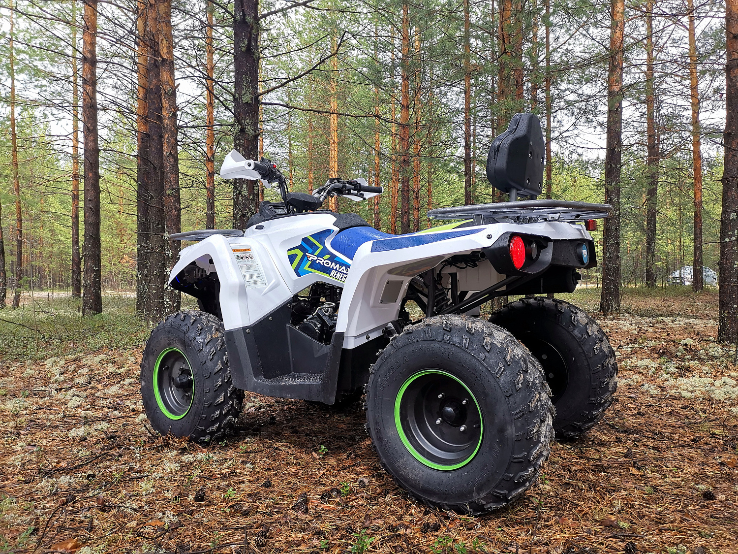 Квадроцикл PROMAX RENEGADE 280 (2025) в Прокопьевске