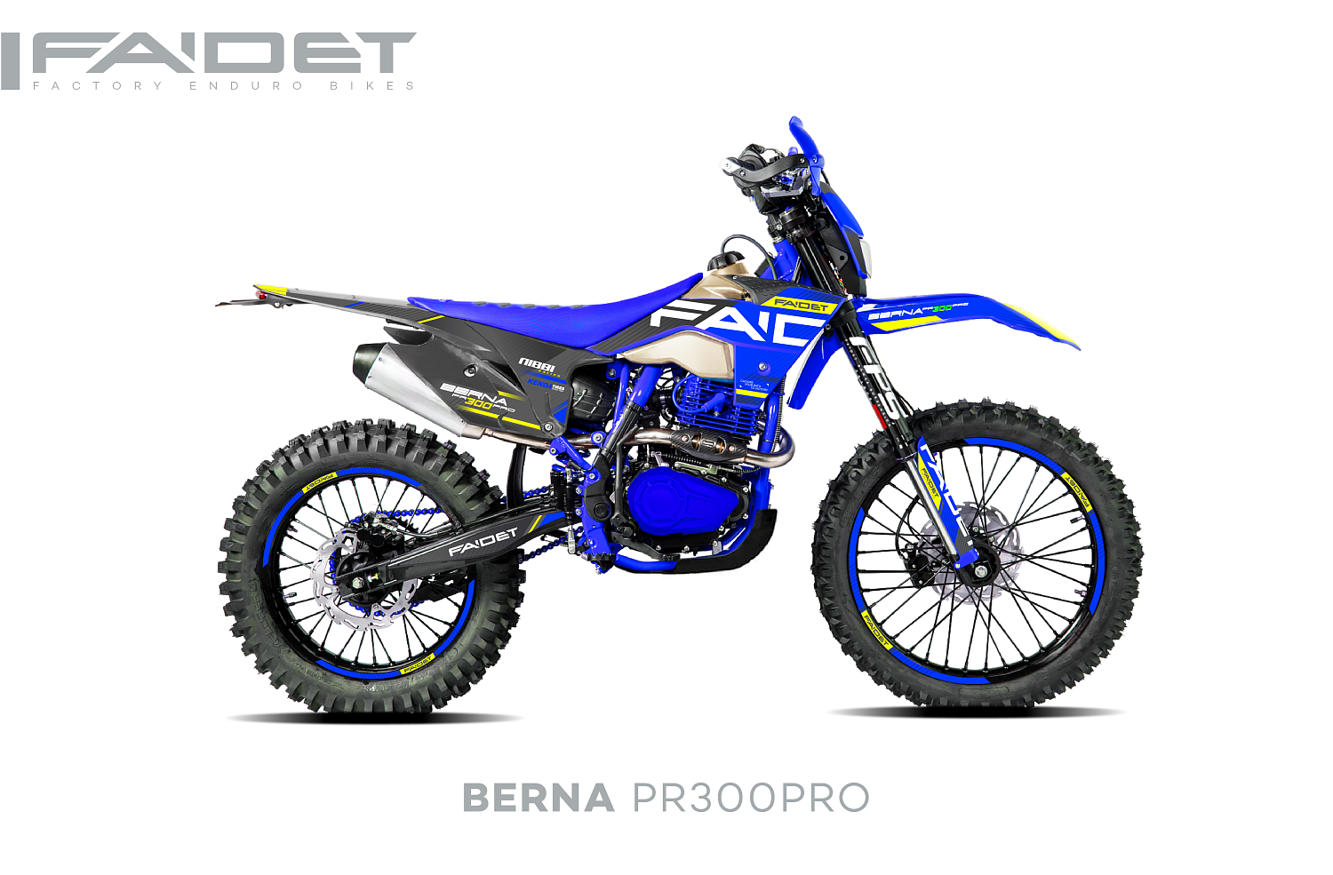 Кроссовый мотоцикл FAIDET BERNA PR300-PRO FPS в Прокопьевске