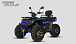 Квадроцикл PROMAX TAURUS 300 MAX-PRO LONG в Прокопьевске