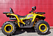 Квадроцикл PROMAX STORM 280 LUX в Прокопьевске