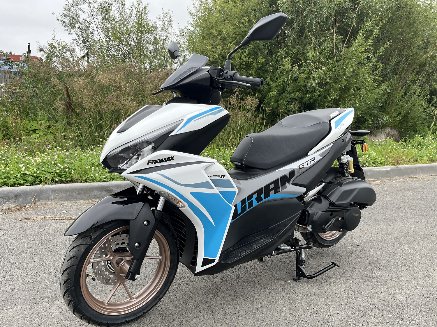 Скутер PROMAX TURAN 250 (49) в Прокопьевске