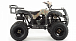 Квадроцикл MOTOLAND (МОТОЛЕНД) 200 ALL ROAD в Прокопьевске