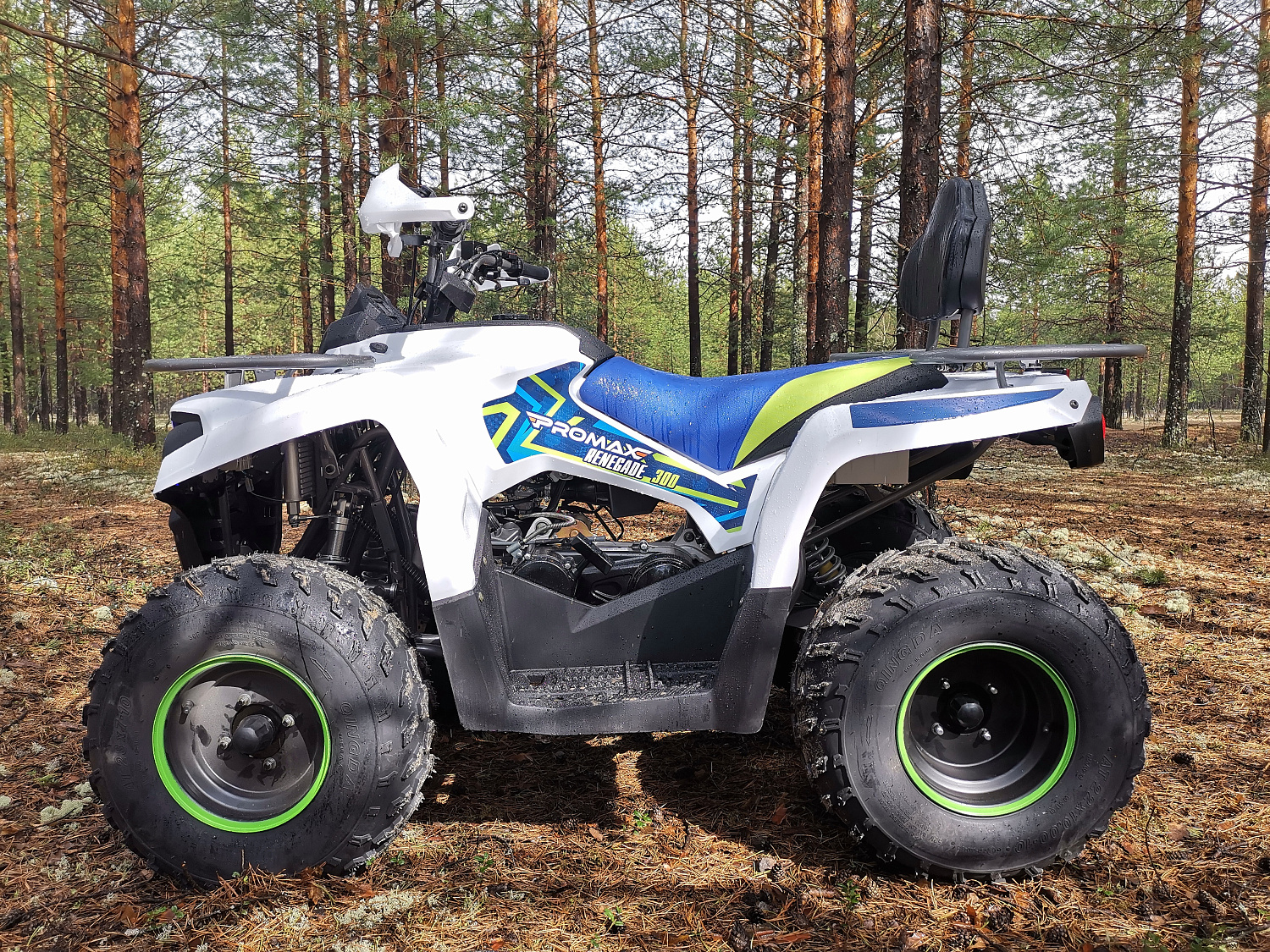Квадроцикл PROMAX RENEGADE 280 (2025) в Прокопьевске