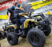 Квадроцикл PROMAX ATV 250 (2025) в Прокопьевске