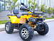 Квадроцикл MOTOLAND (МОТОЛЕНД) VOX200 WILD TRACK X PRO (баланс. вал) в Прокопьевске
